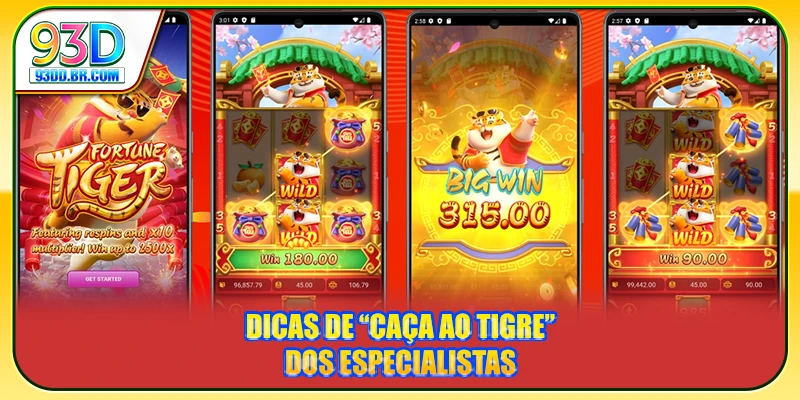 Dicas de “caça ao Tigre” dos especialistas